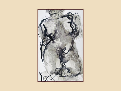 Venus de contornos desfasados 2